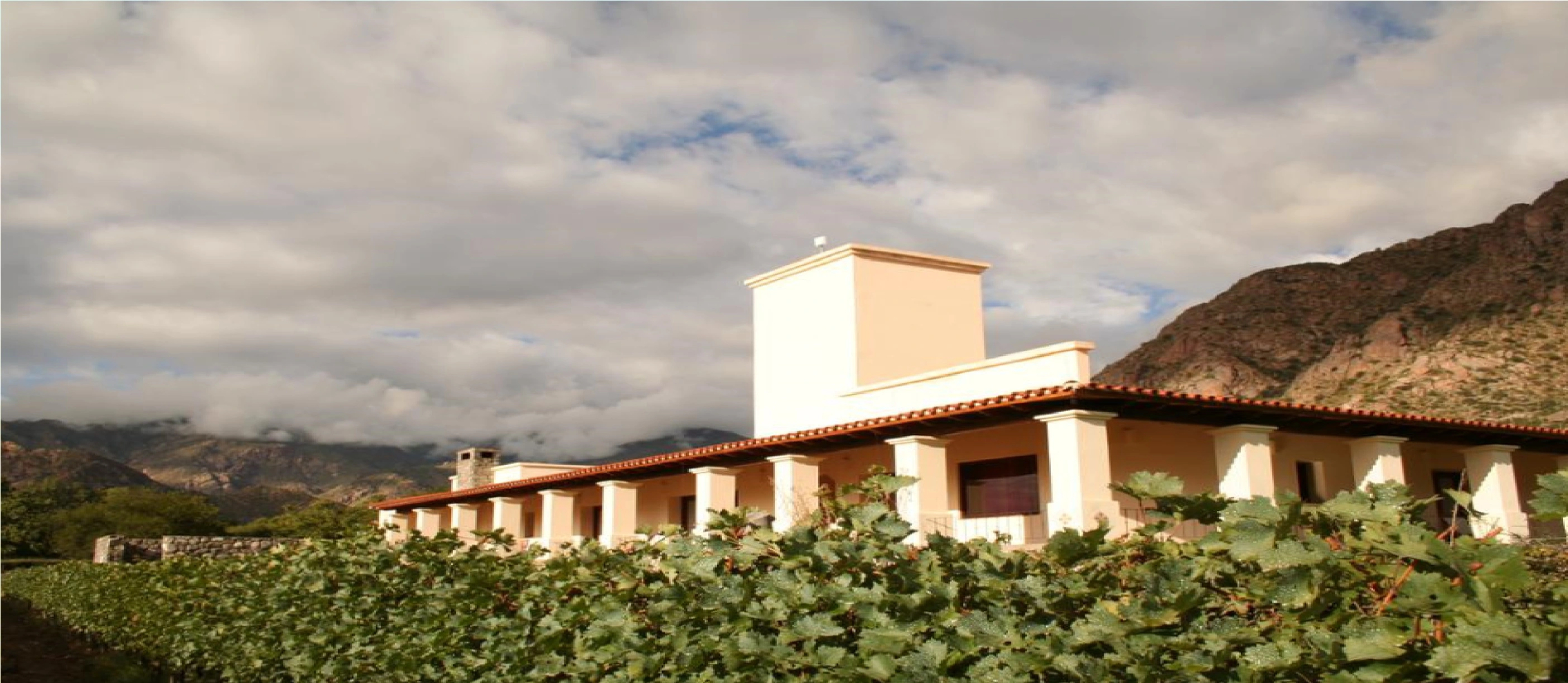 Viñas De Cafayate Wine Resort