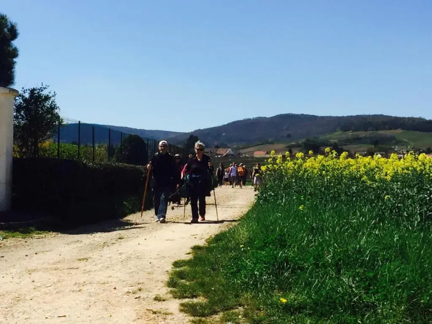 Domaine Pont Juillet