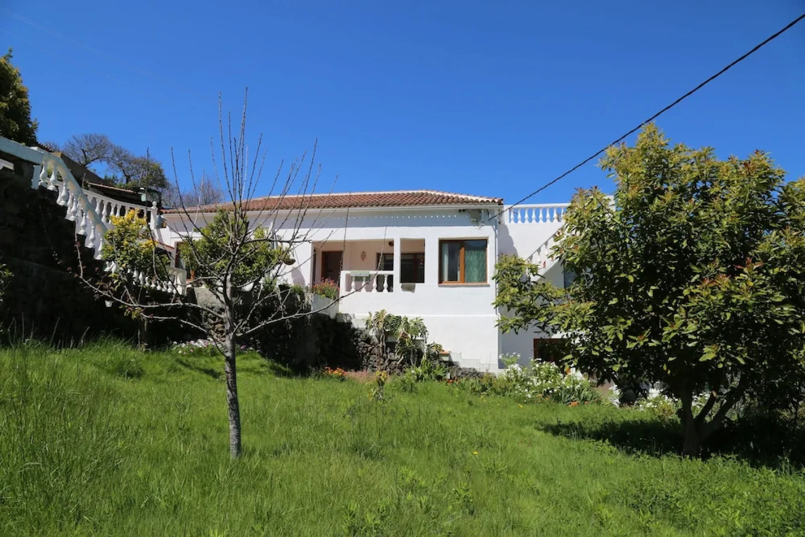 Charming villa with rich garden