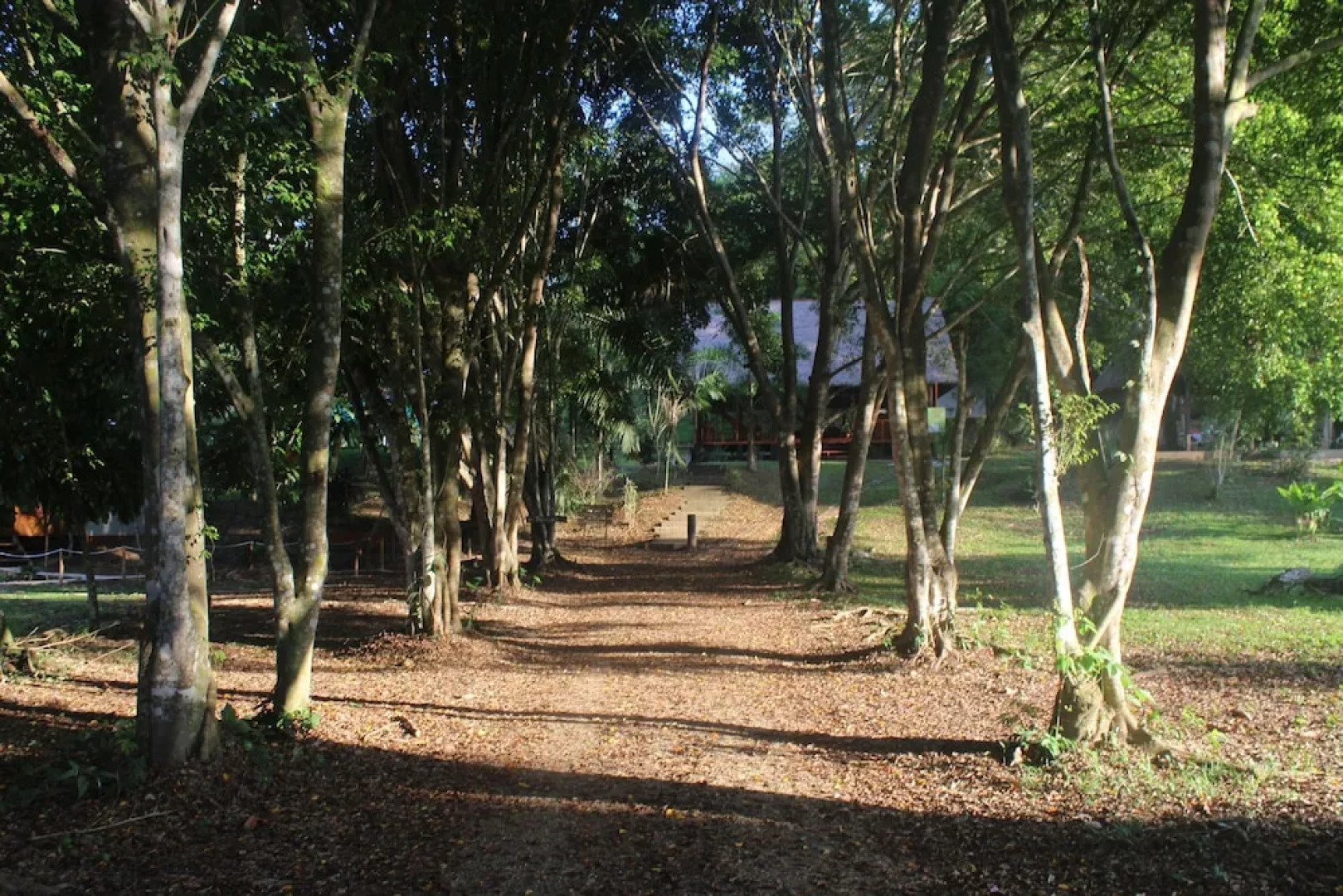 La Habana Amazon Reserve