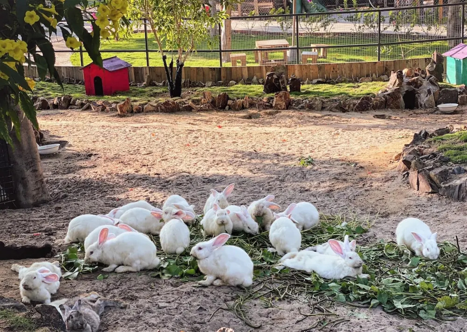 TTC Van Phong Bay Resort