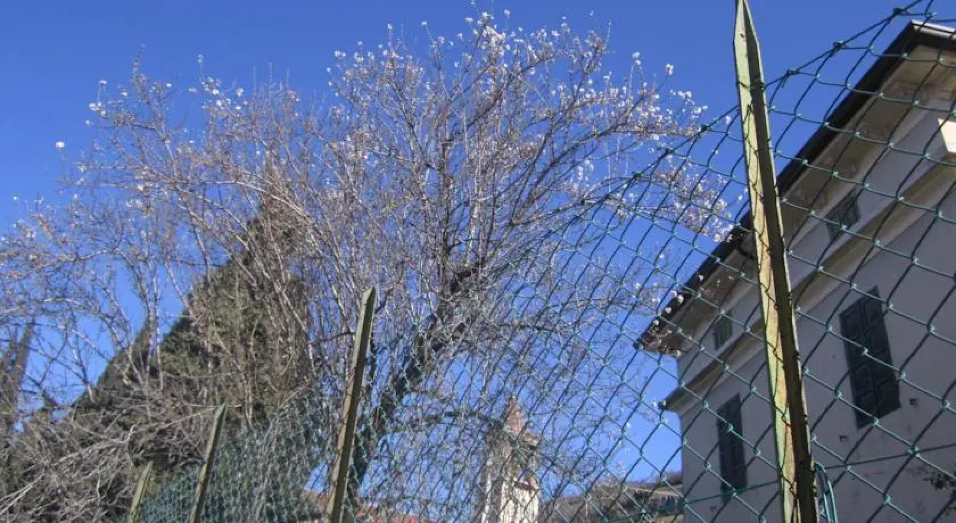 B&B la Tana della Felicità