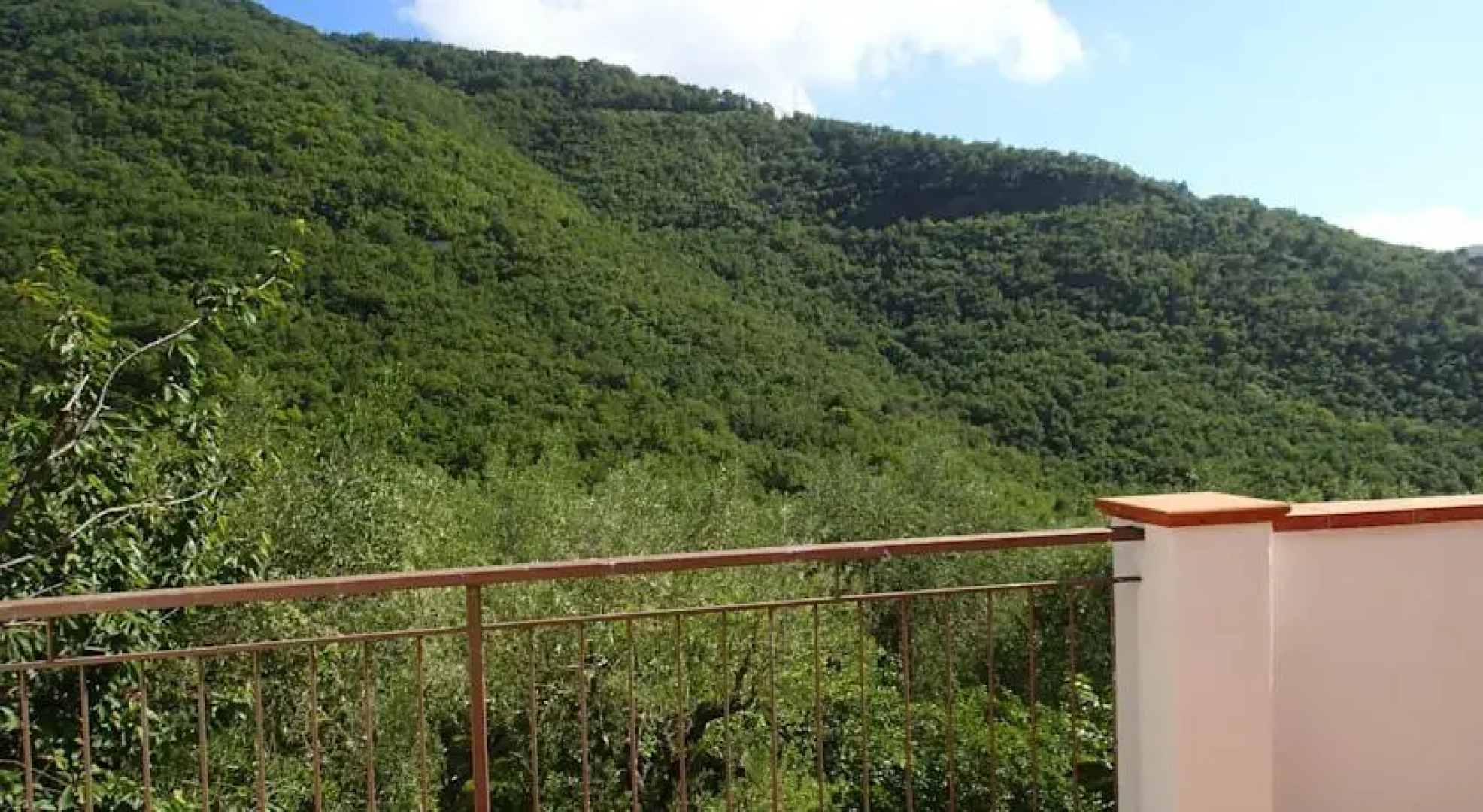 B&B Villa Mare e Ulivi