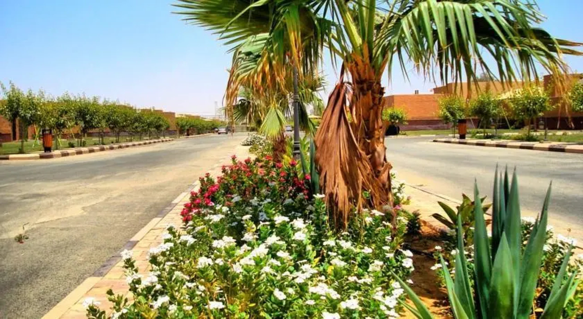 Al Raeda Resort