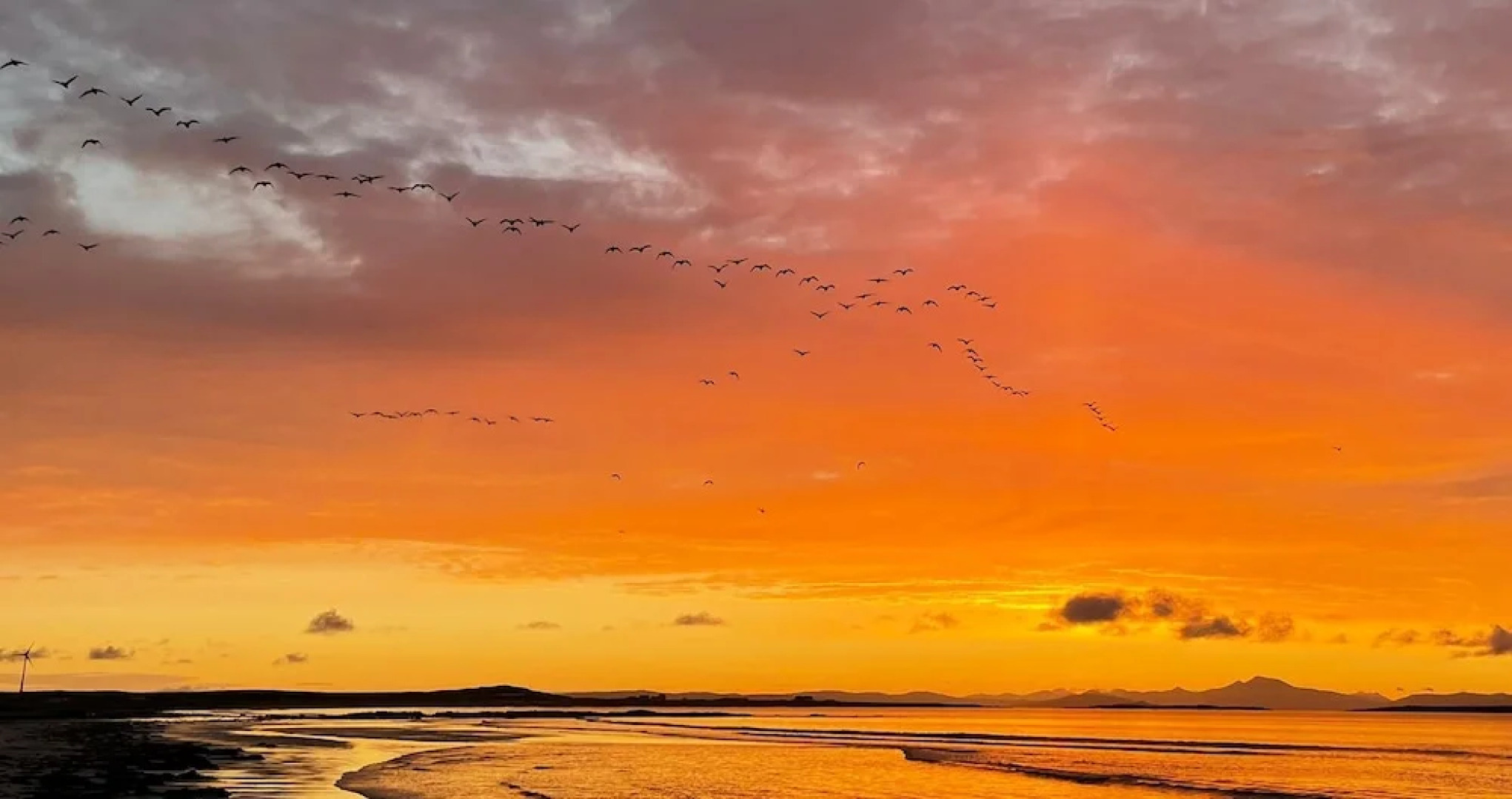 Kirkapol Beach Sleeps 4 With Dog Access