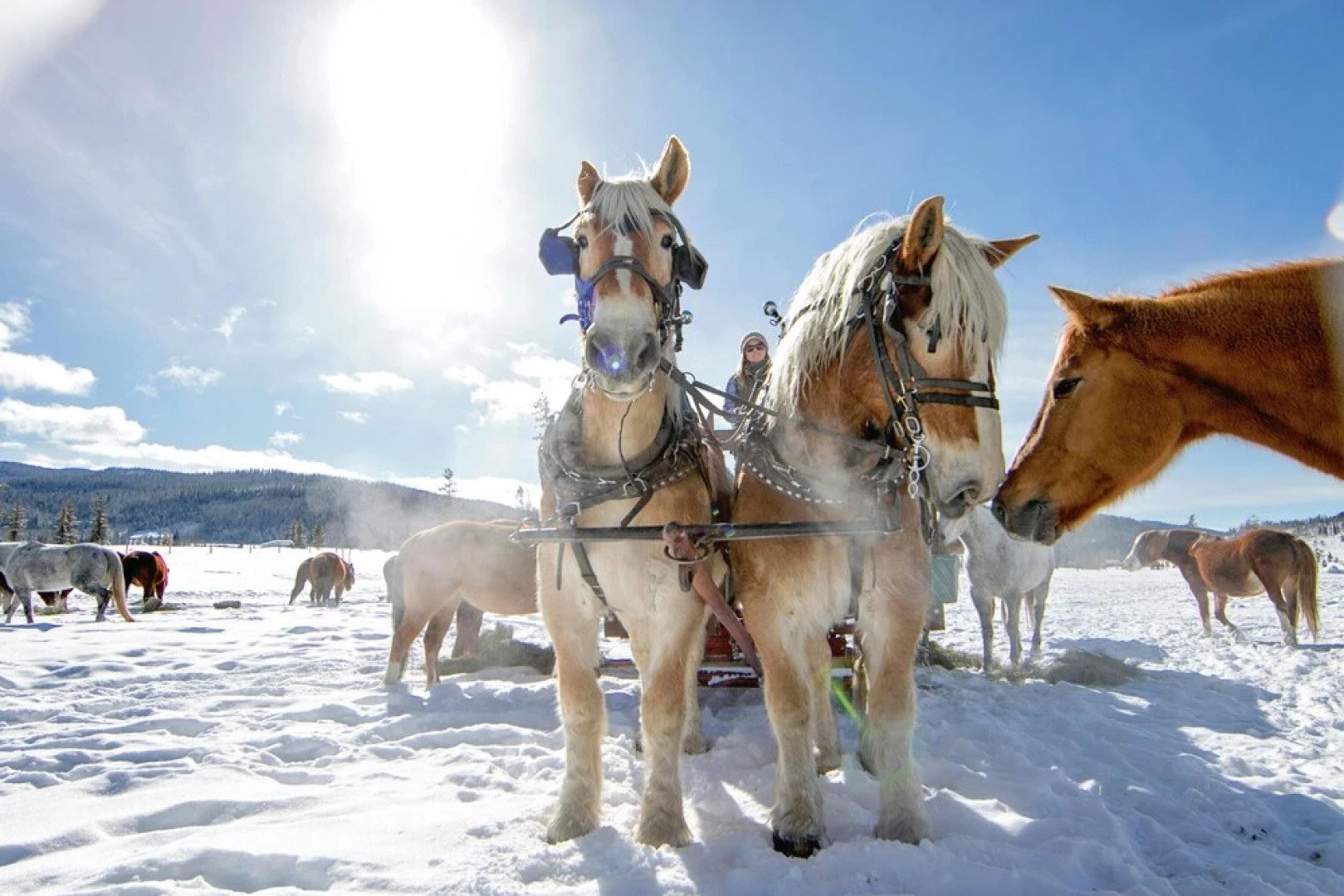 Vista Verde Ranch All-inclusive - Lodge Room
