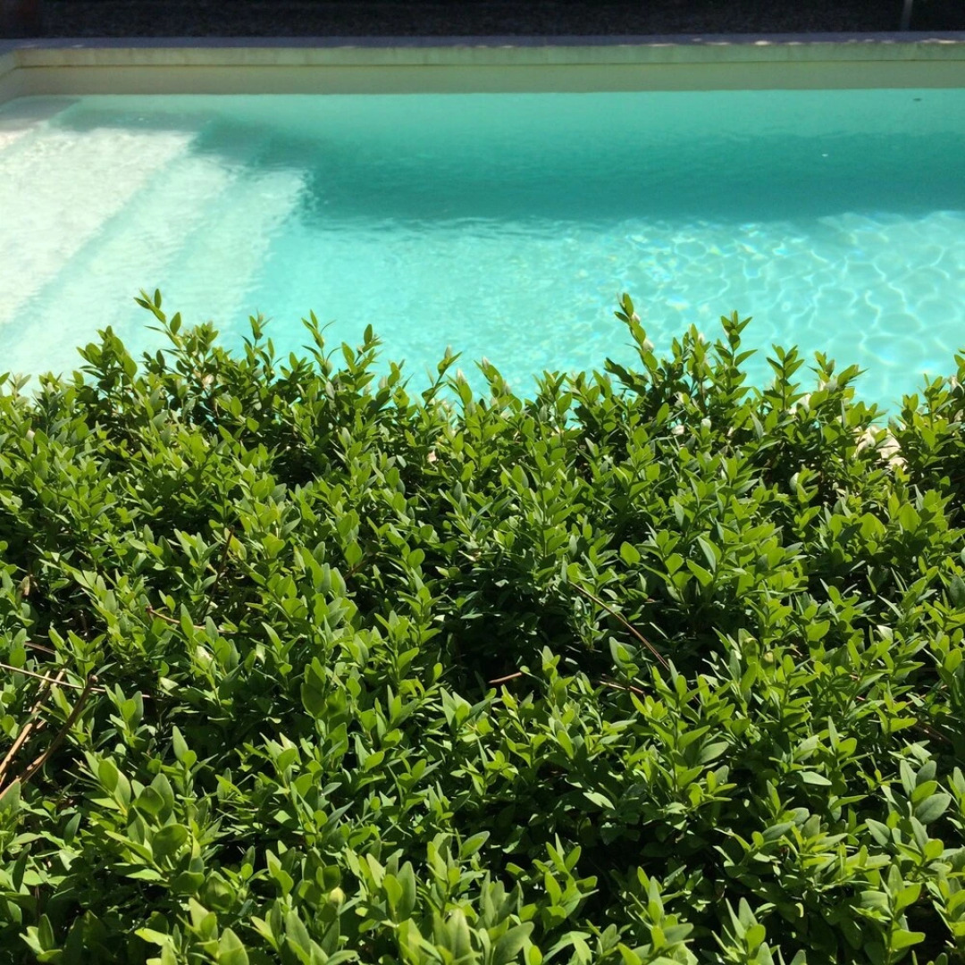 La Ferme des Sablons