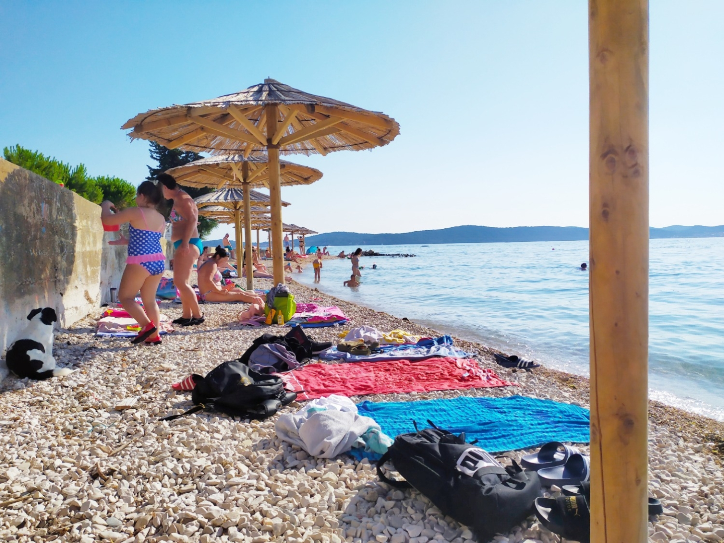 Room Aleksandra - 10 m from sea: R7 Bibinje, Zadar riviera