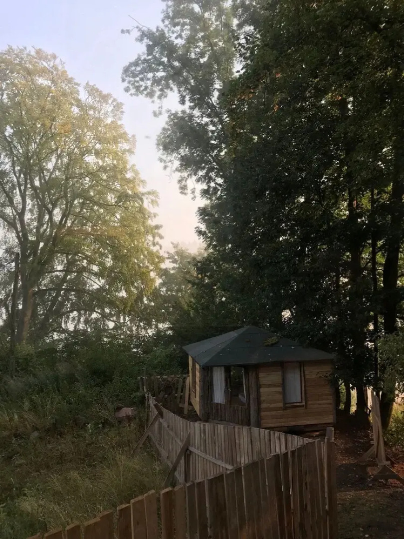 Robins Nest Baumhaushotel