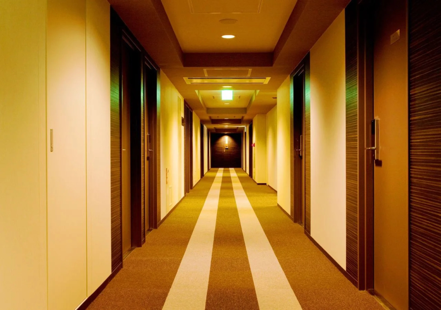 Shizutetsu Hotel Prezio Shizuoka Ekinan