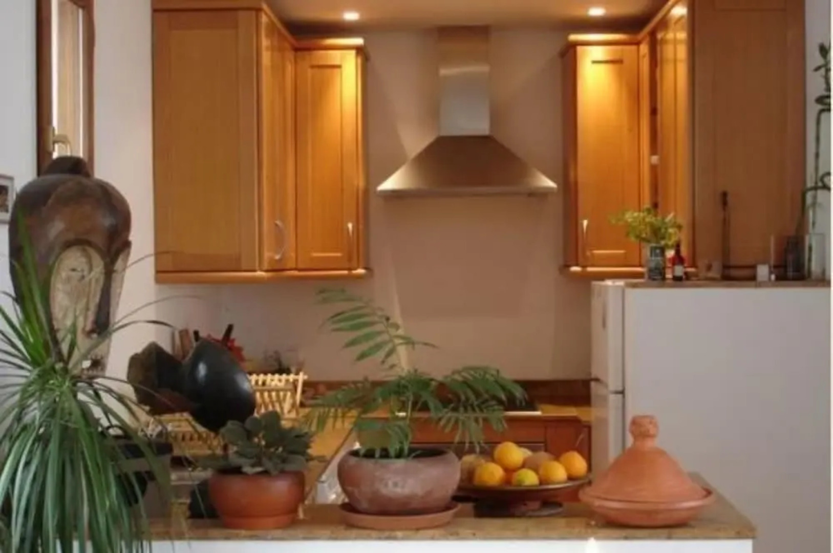 103708 -  Apartment in Grazalema