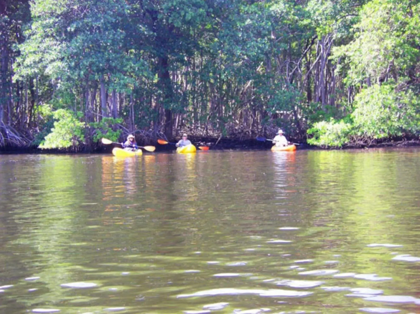 The Lofts on the Park Boutique Residences Miami