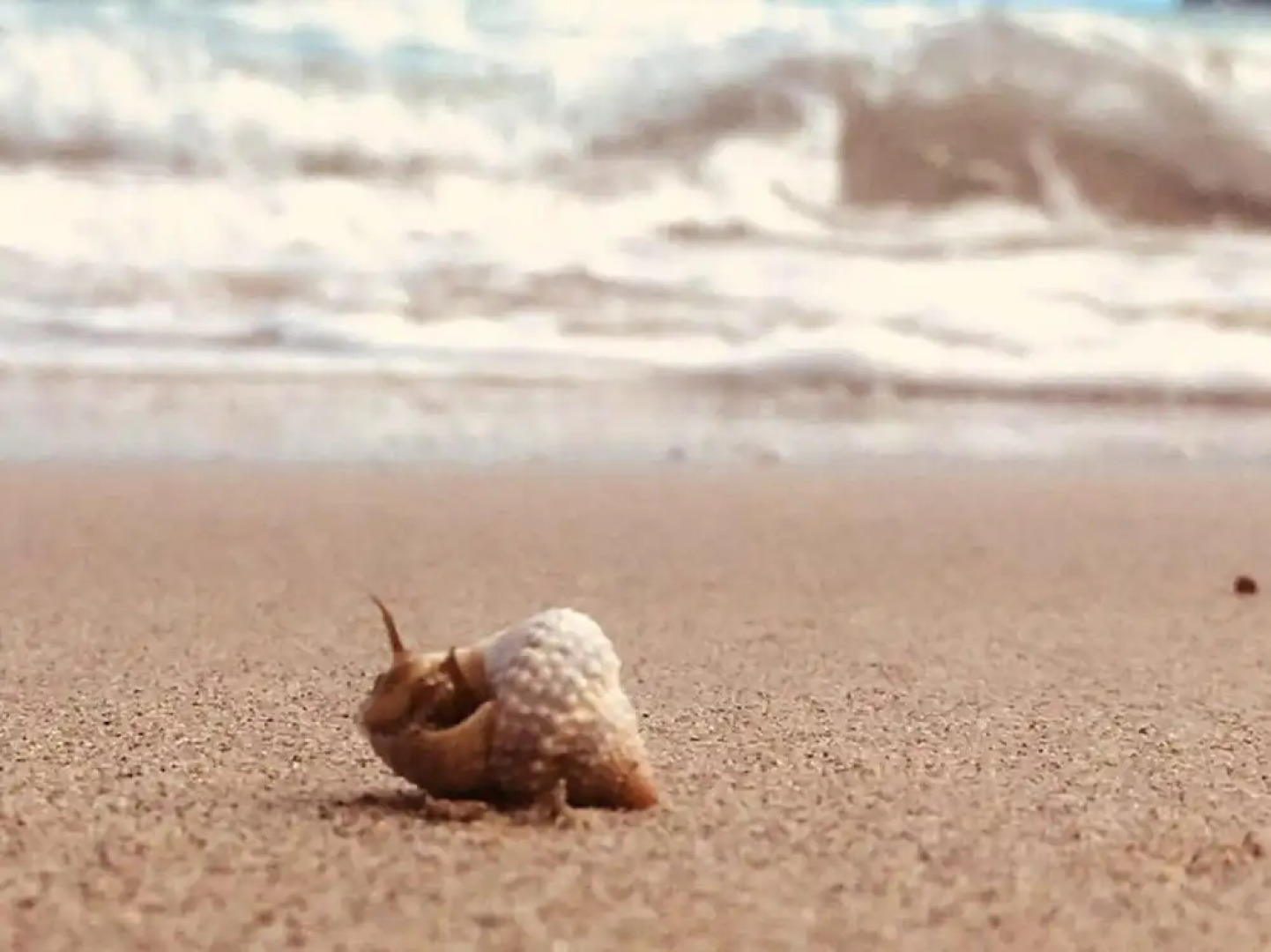 Bungalow With one Bedroom in Le Diamant, With Wonderful sea View and F