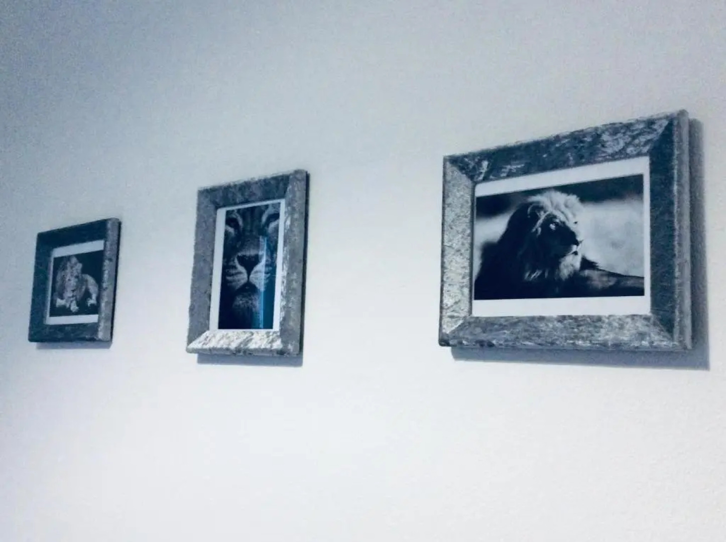 The Lion’S Rest - Boutique Apartment Suite.