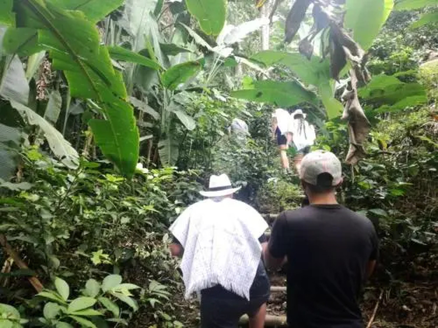 Finca turistica Santa Clara