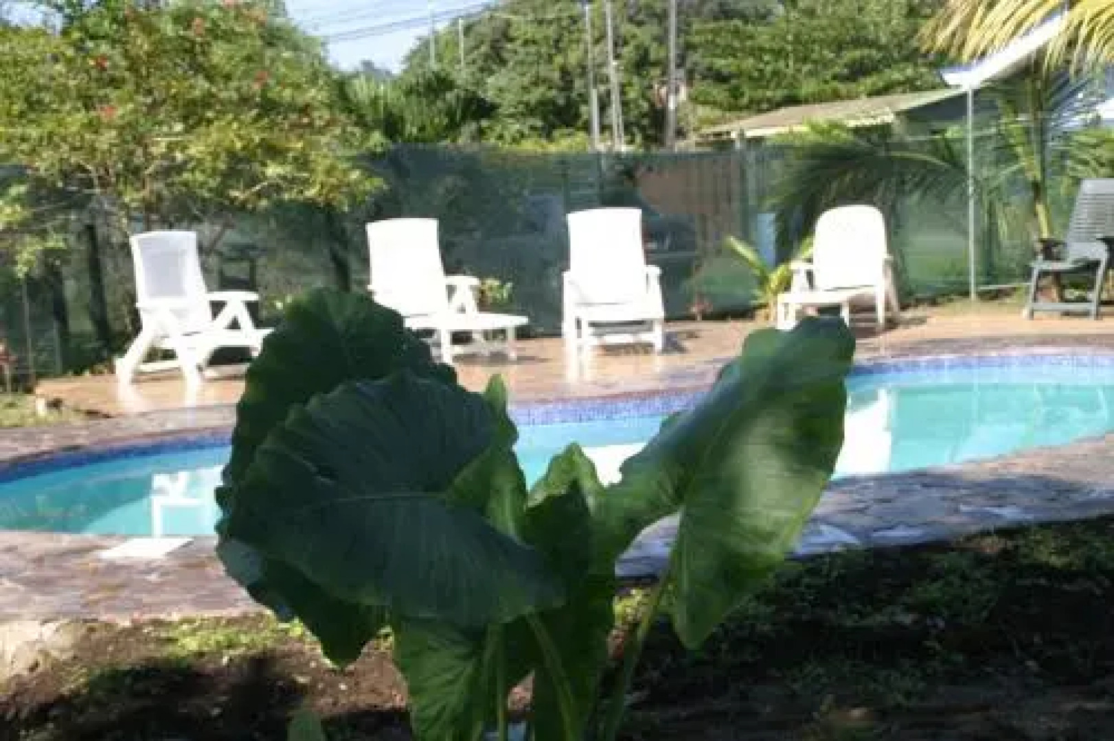 Hakuna Matata Hostel