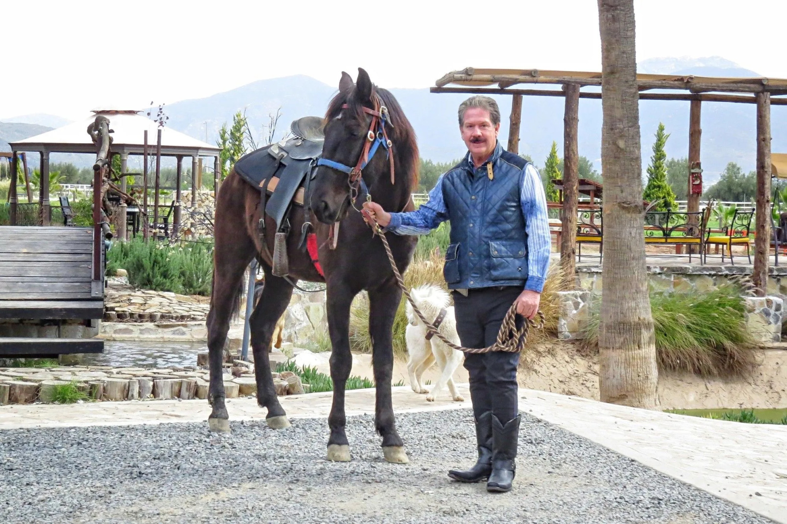Hotel Boutique Valle de Guadalupe & Spa