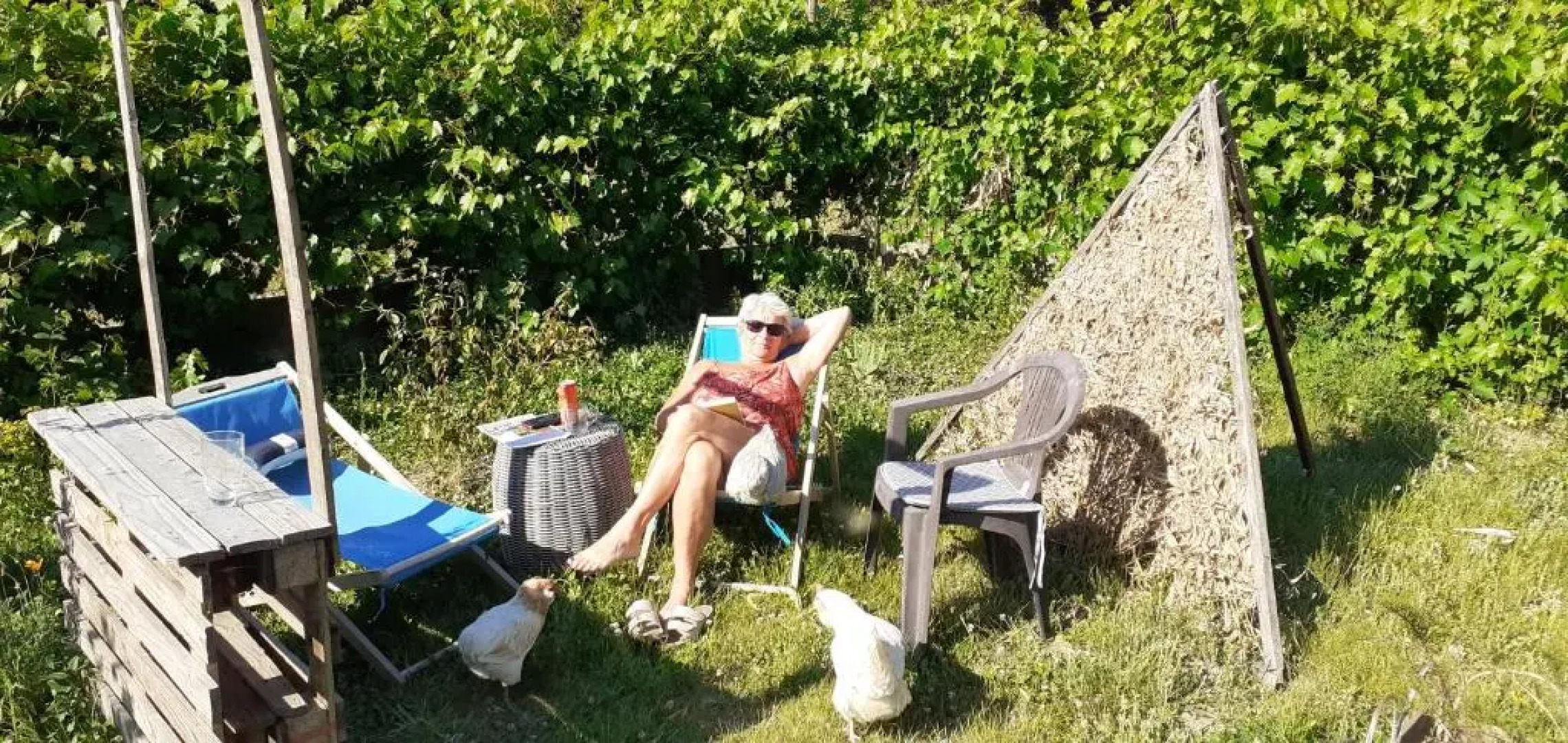 Les Campanules - Neuvy en Sullias