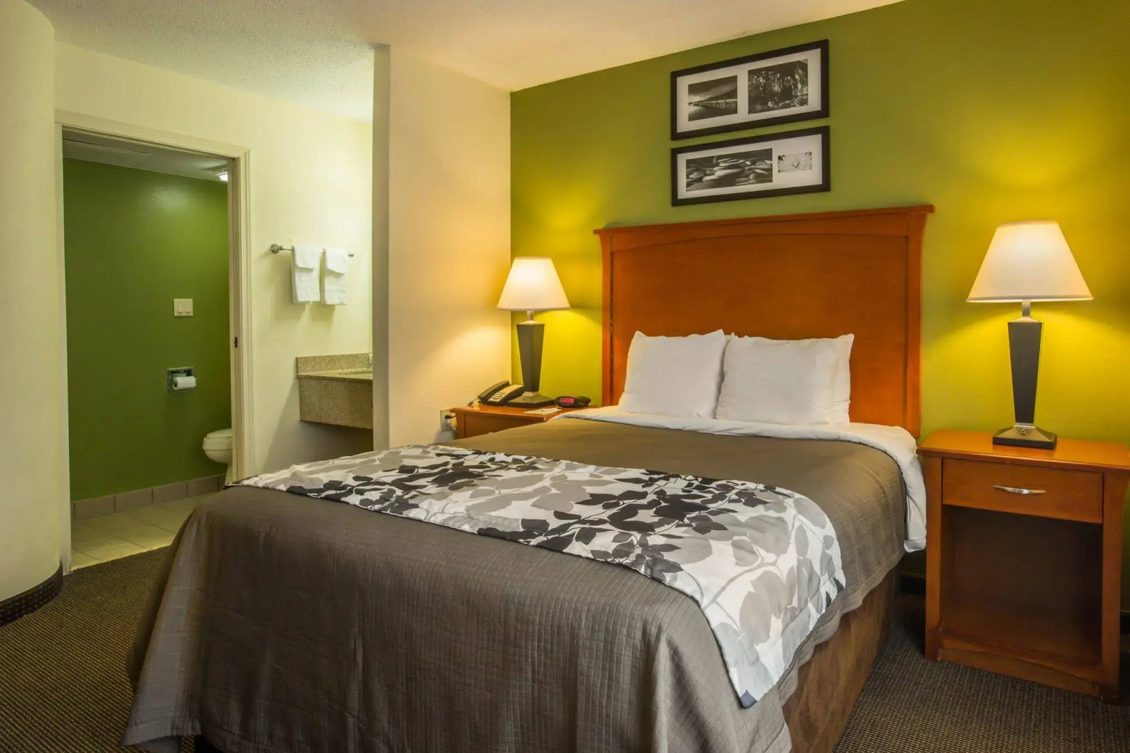 Sleep Inn Macon I-75