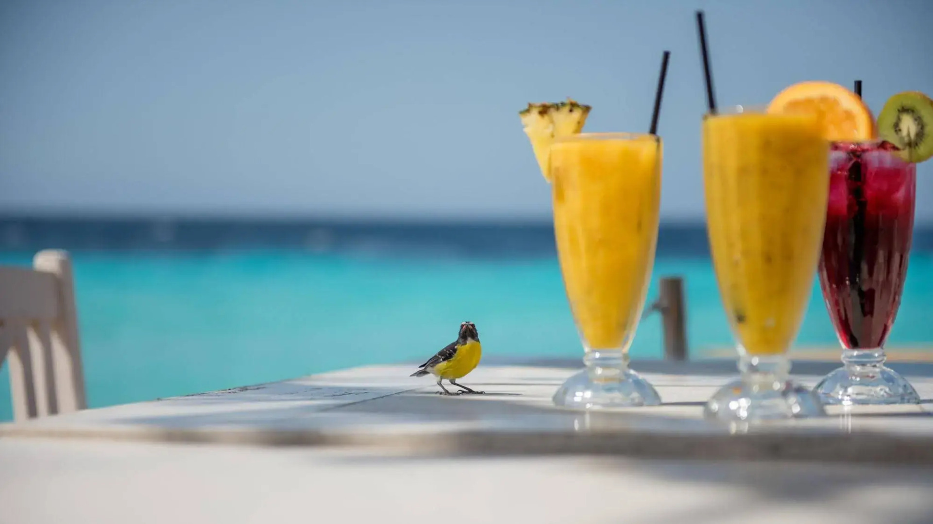 Oasis Parcs Coral Estate