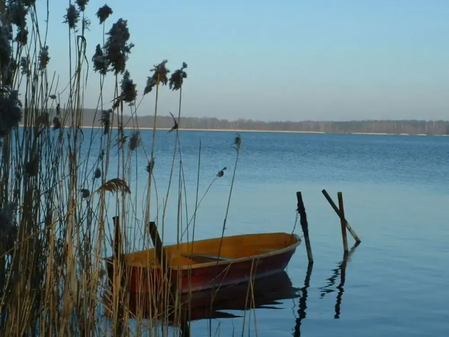 on Grimnitzsee With Lake Views