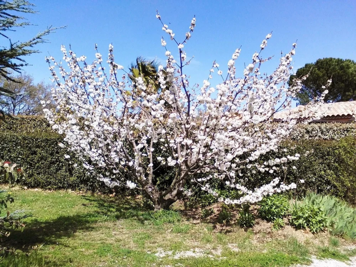 House With 3 Bedrooms in Castelnou, With Wonderful Mountain View, Priv