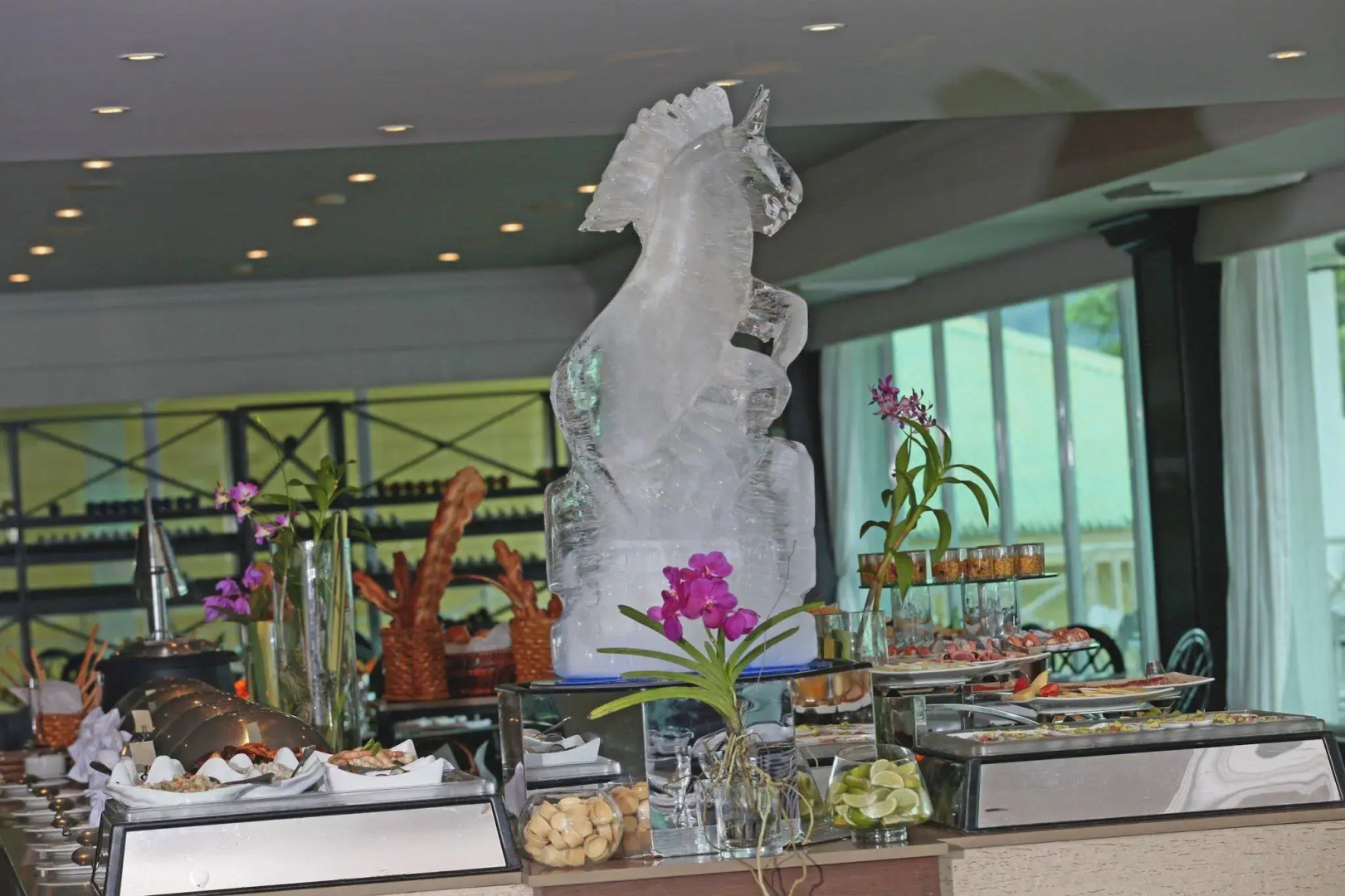 Gamboa Rainforest Reserve