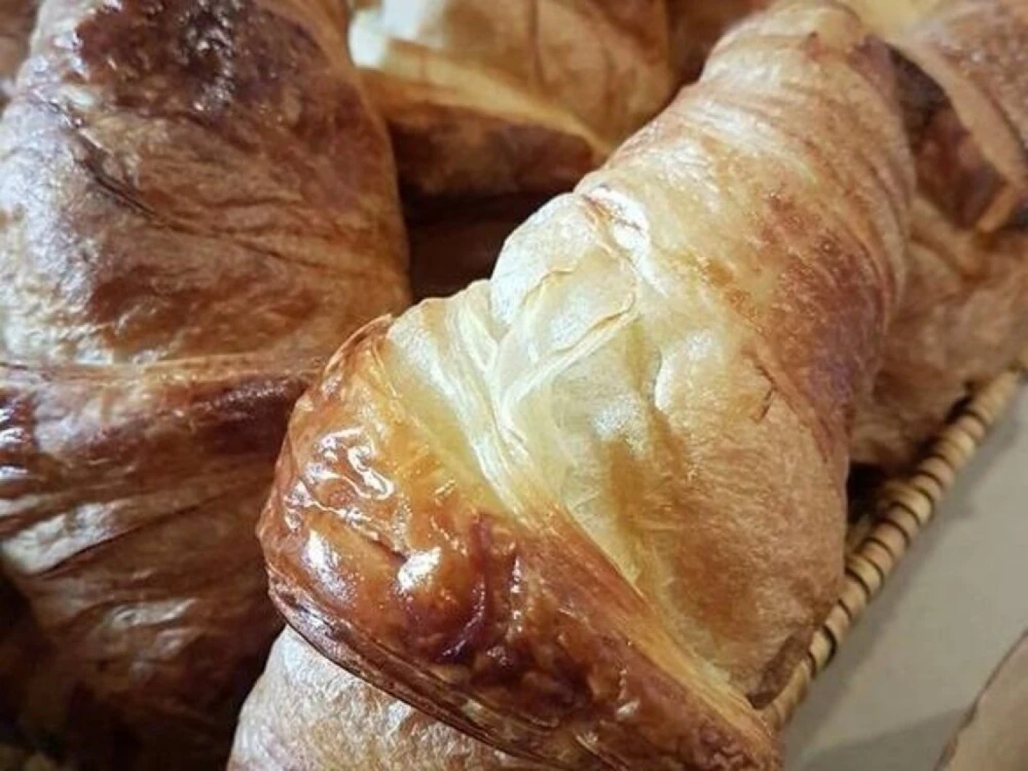 La Maison des Marronniers