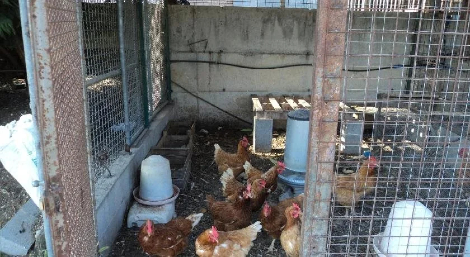 Agriturismo Corte dei Fiori