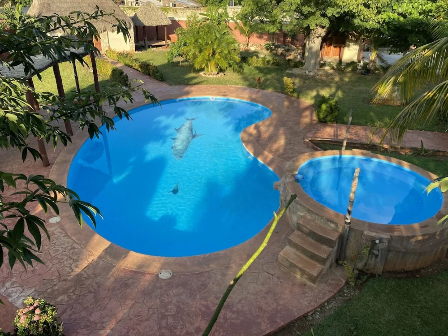 Mangrove King Fishing Lodge