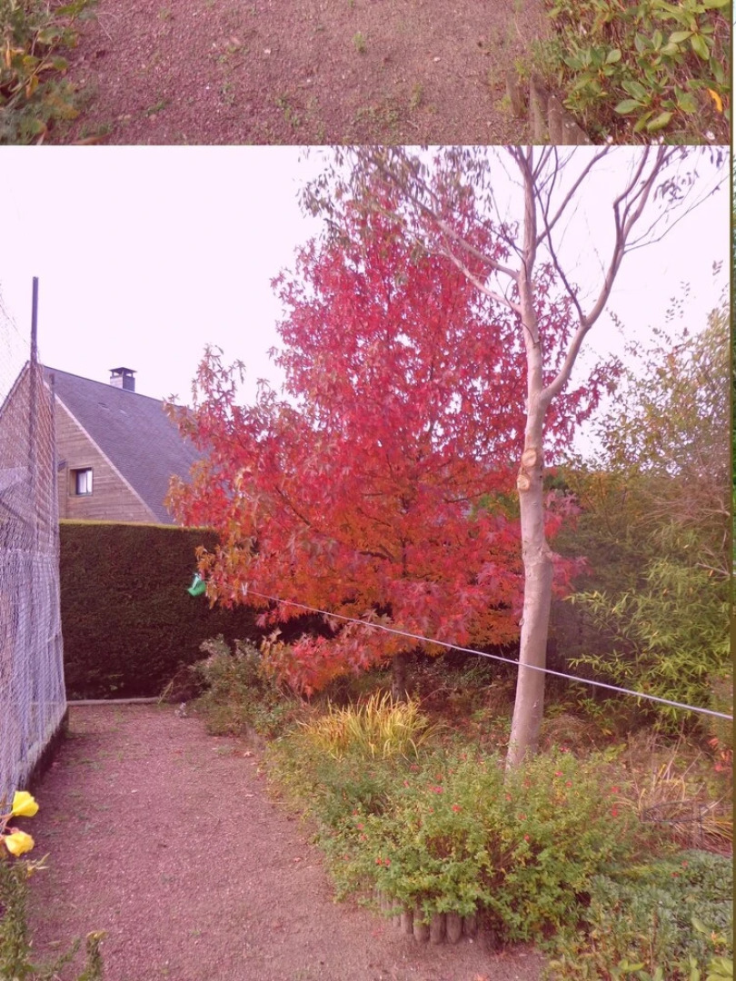 House With 3 Bedrooms in Agon-coutainville, With Furnished Garden and