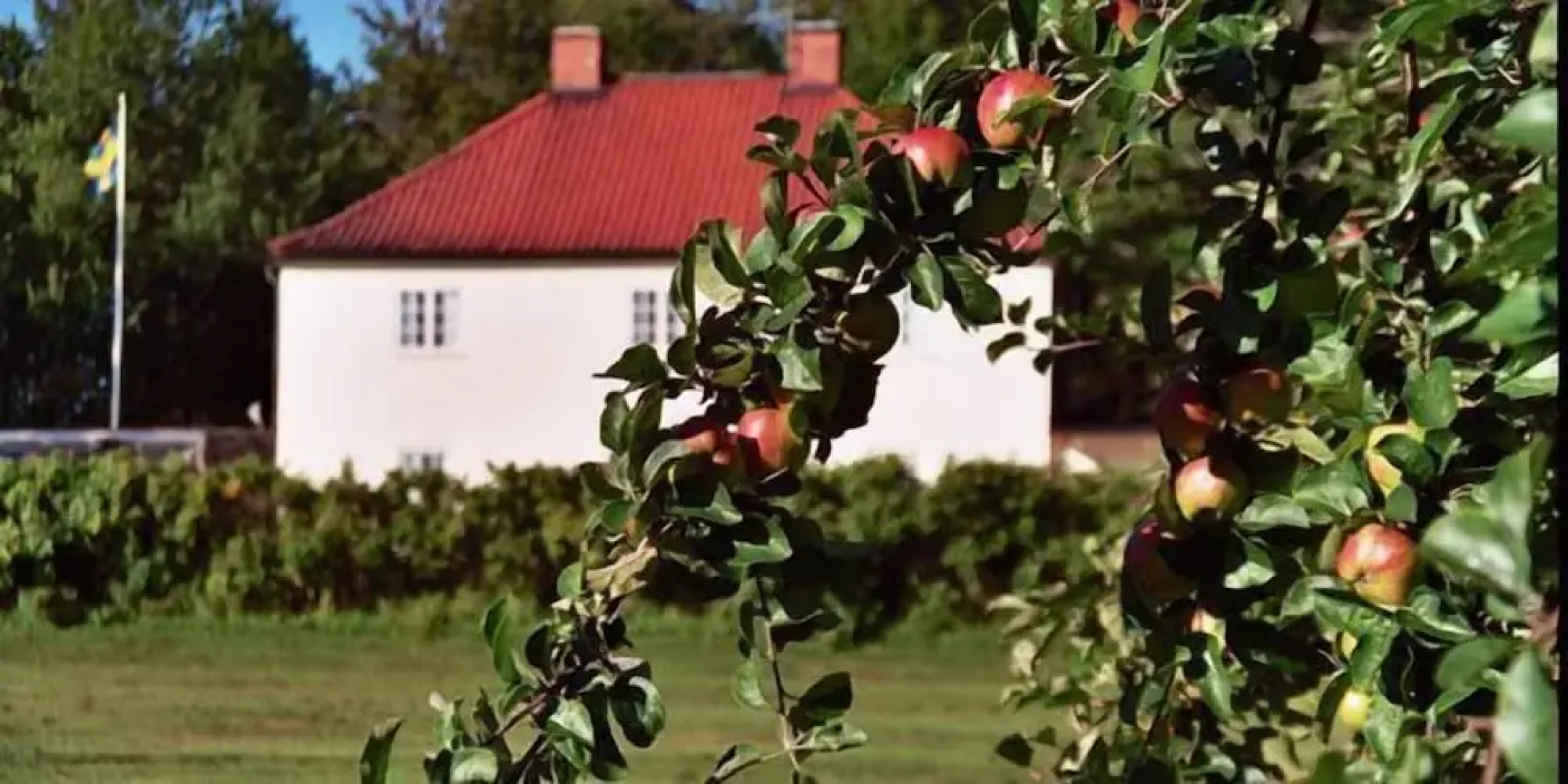 Stegeborgs Trädgårdshotell