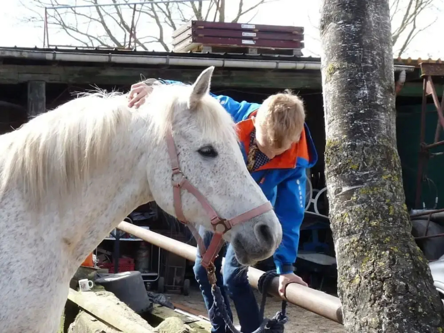 at the Organic Farm Angus-hof