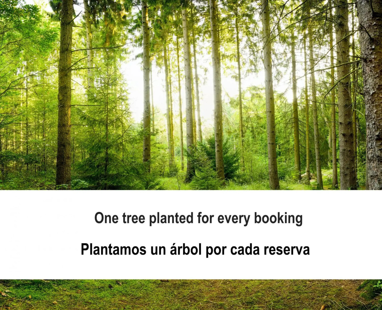 Fidalsa Relax Piscina tu Refugio