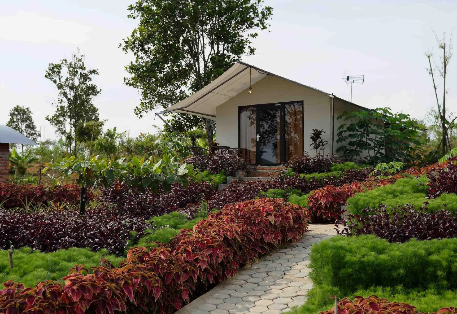 DBambooKamp Desa Wisata Ekang