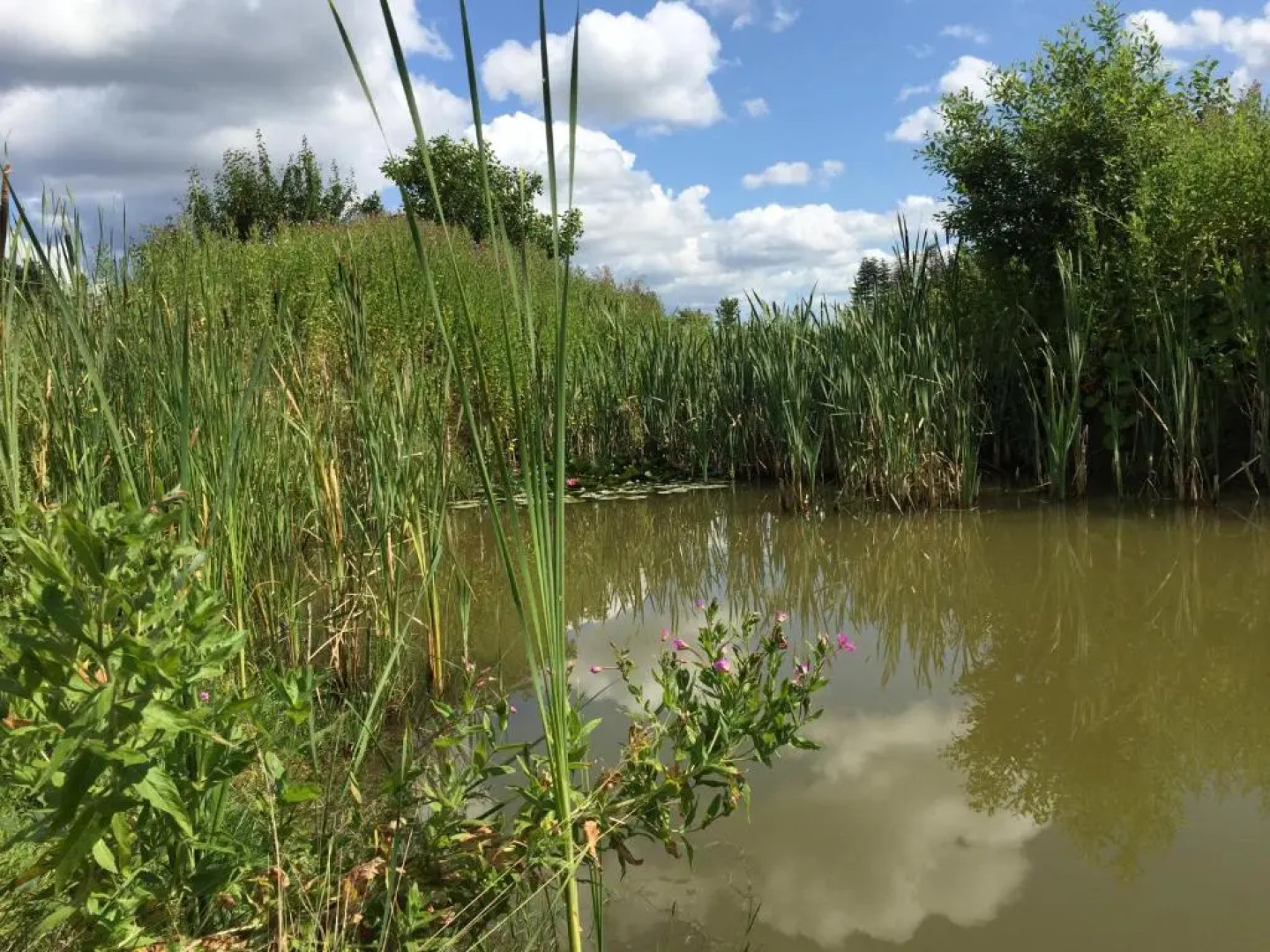Troldegaarden Guesthouse