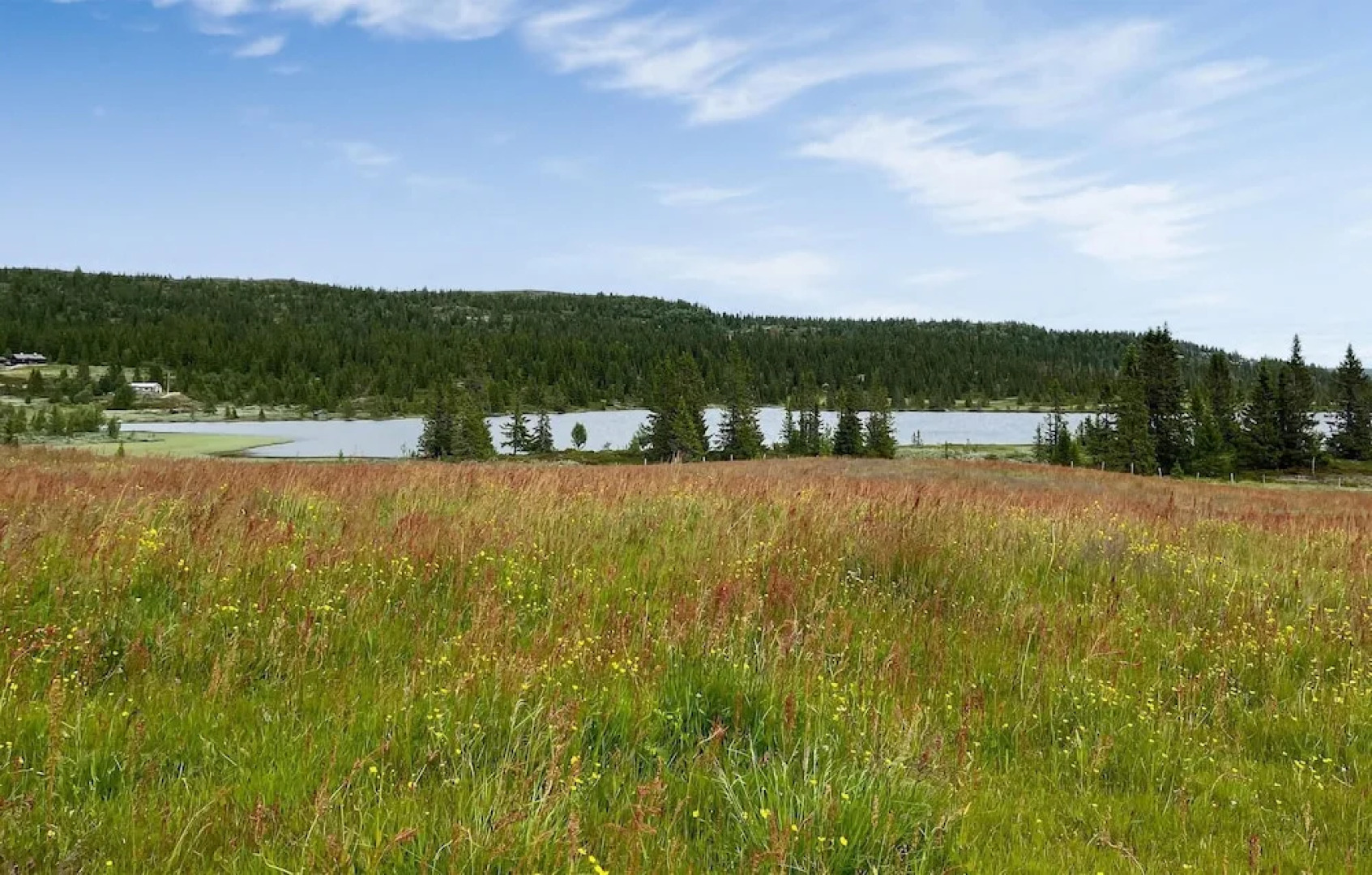 Amazing Home in Aurdal With Wifi and 4 Bedrooms