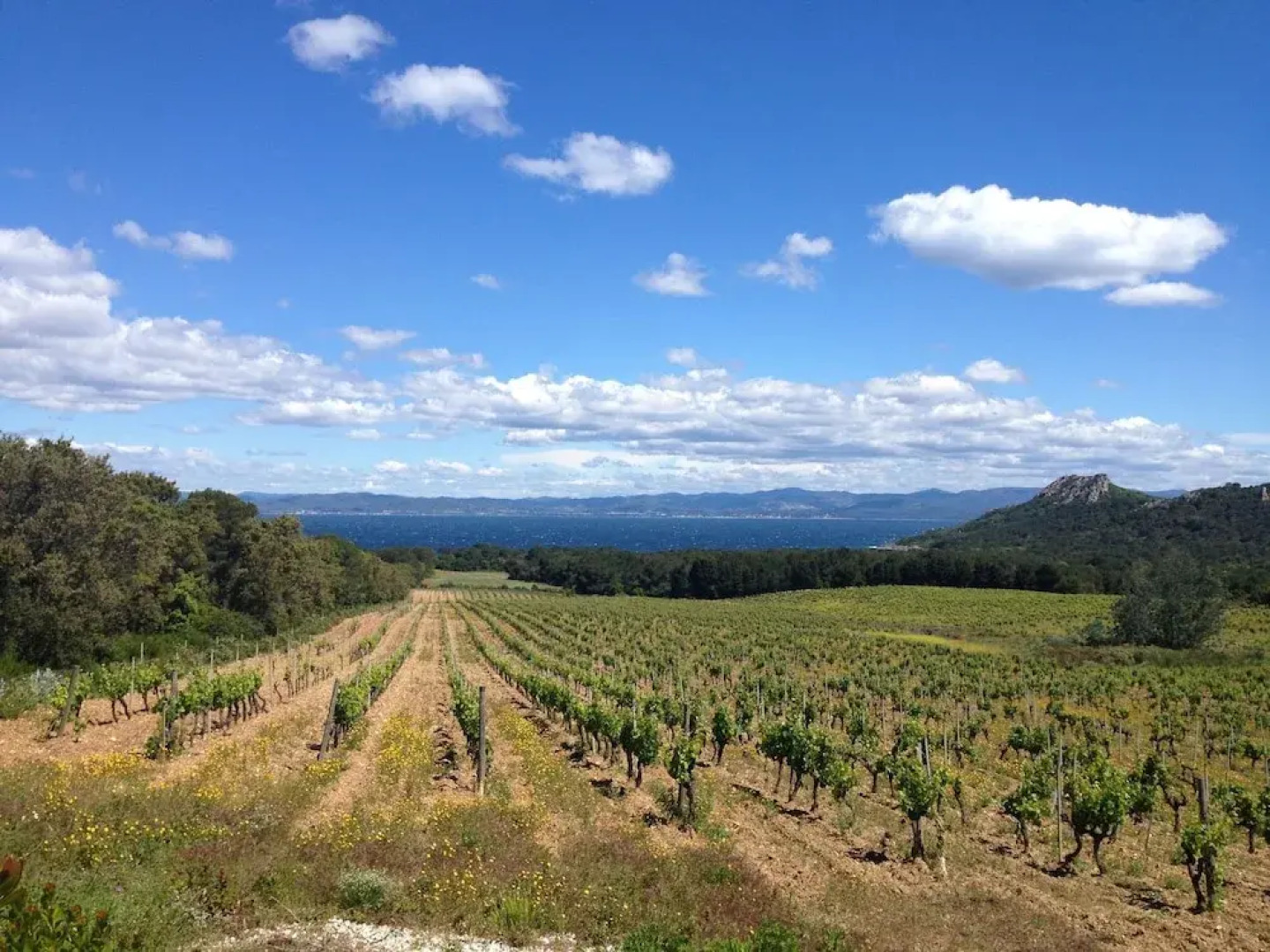 Charming Villa With Private Swimming Pool, Only 5 km From the Mediterranean Sea