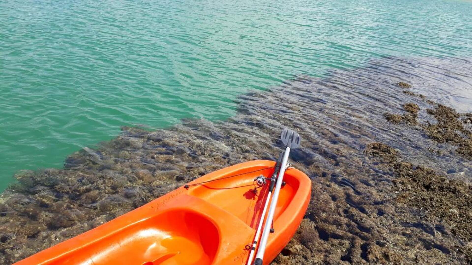 Parque dos Coqueiros- Bangalos e Suites