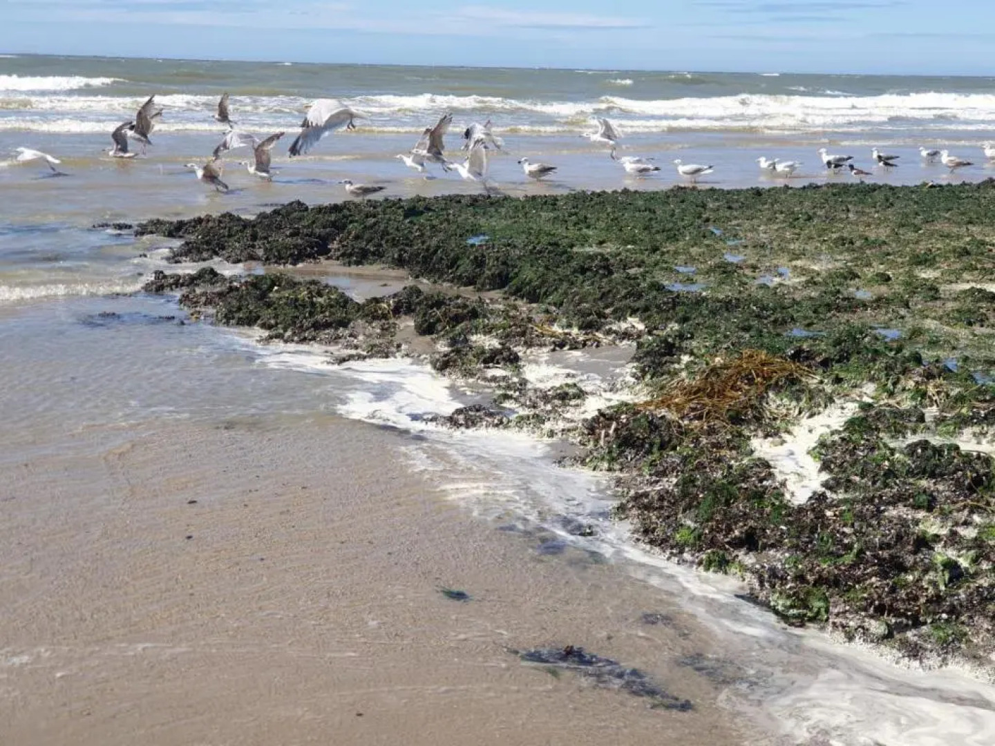 1 room studio with wonderful view