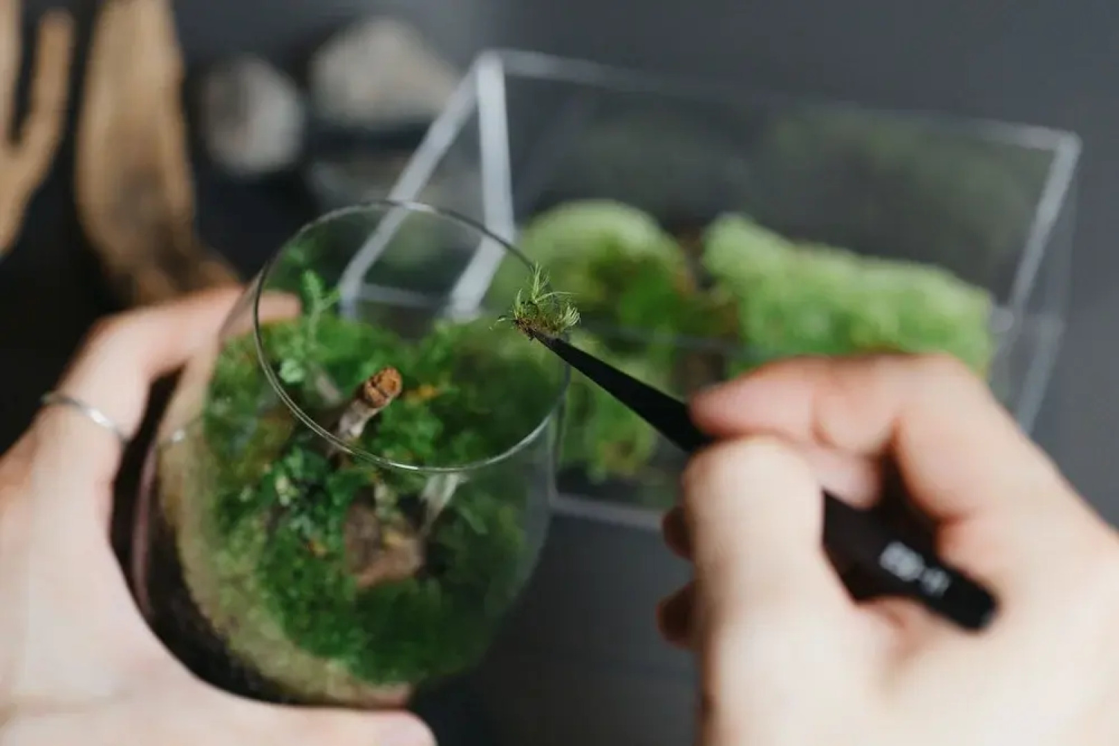 sea-auberge shitsumi