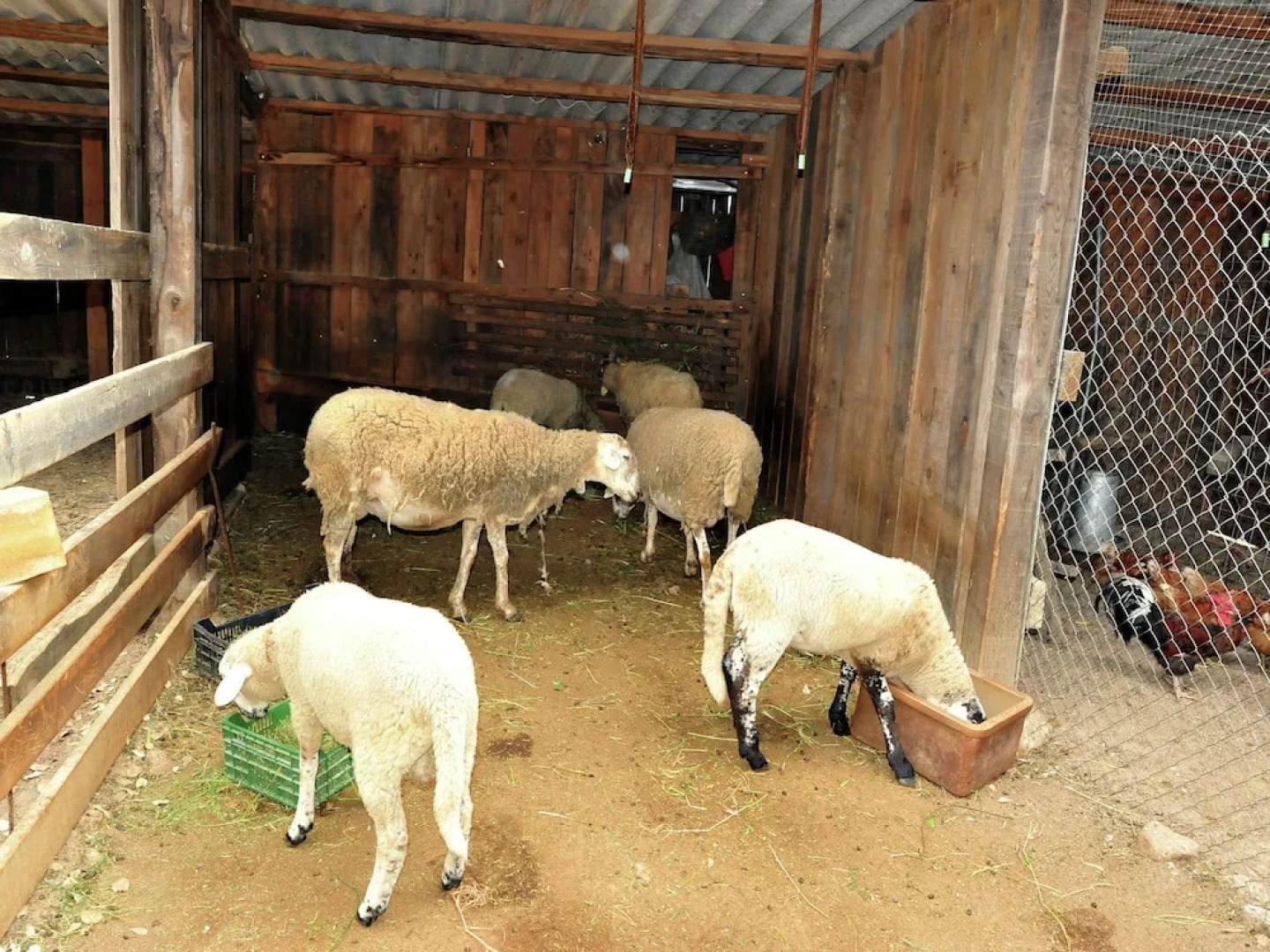 A Farmhouse, With a Private Swimming Pool in the Costa Brava