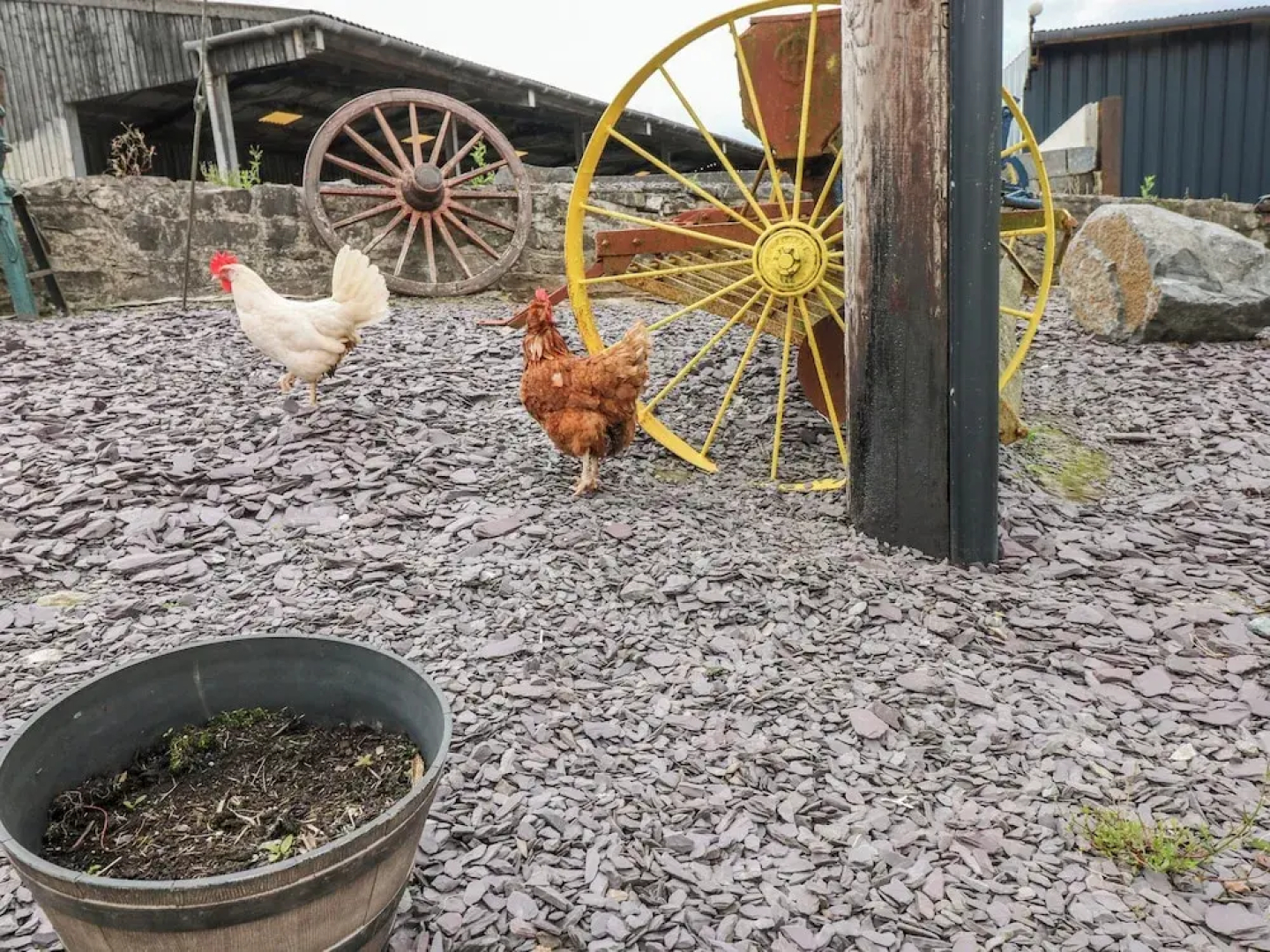 Pant Teg Farm