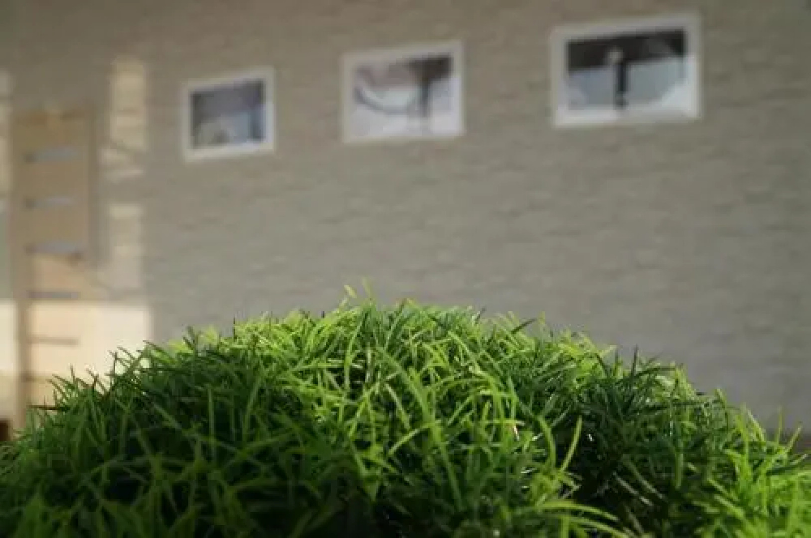 На Лихачева