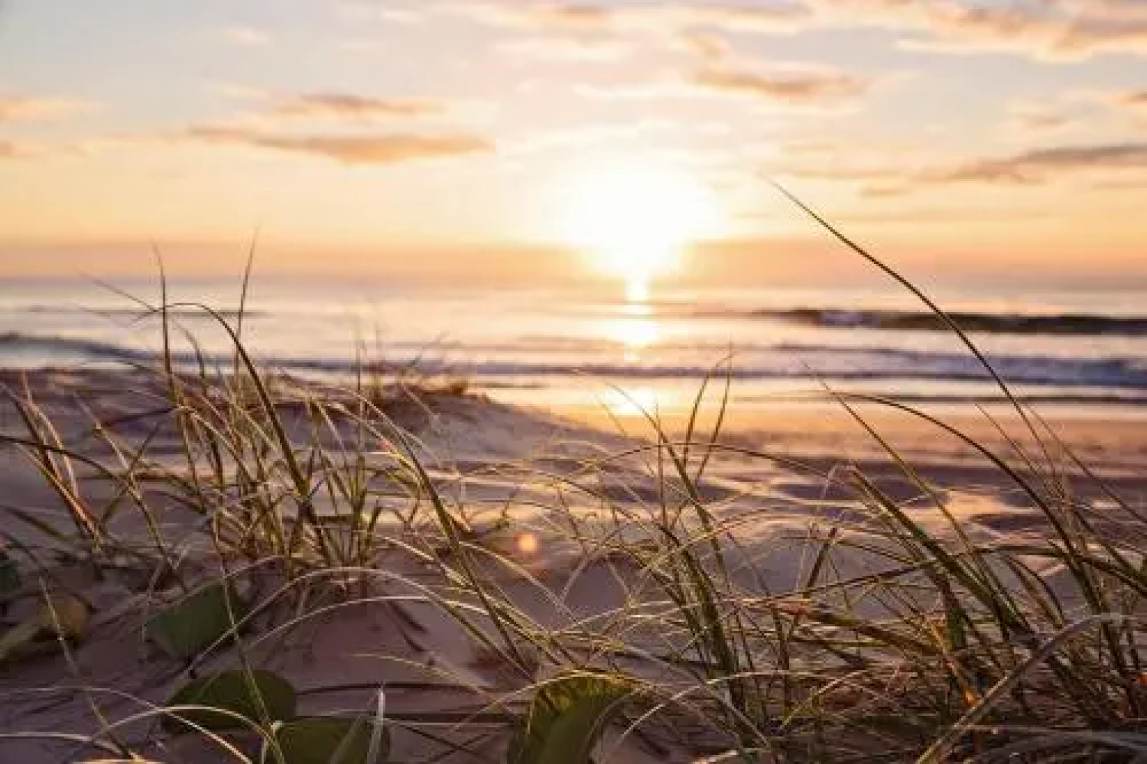 Alouette Sunrise Suites