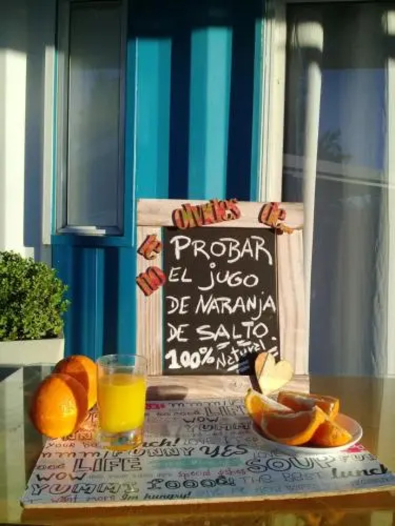 Squania Suite Container