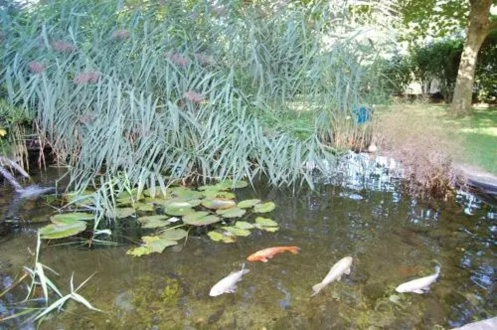 Landgasthof Jägerstübchen