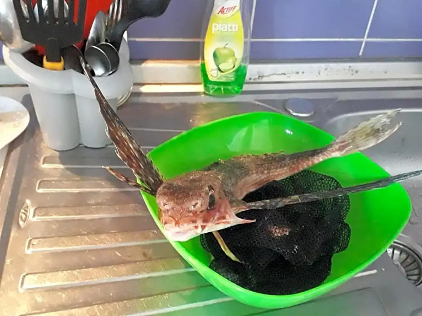 ResidenceU ZU GNAZIU