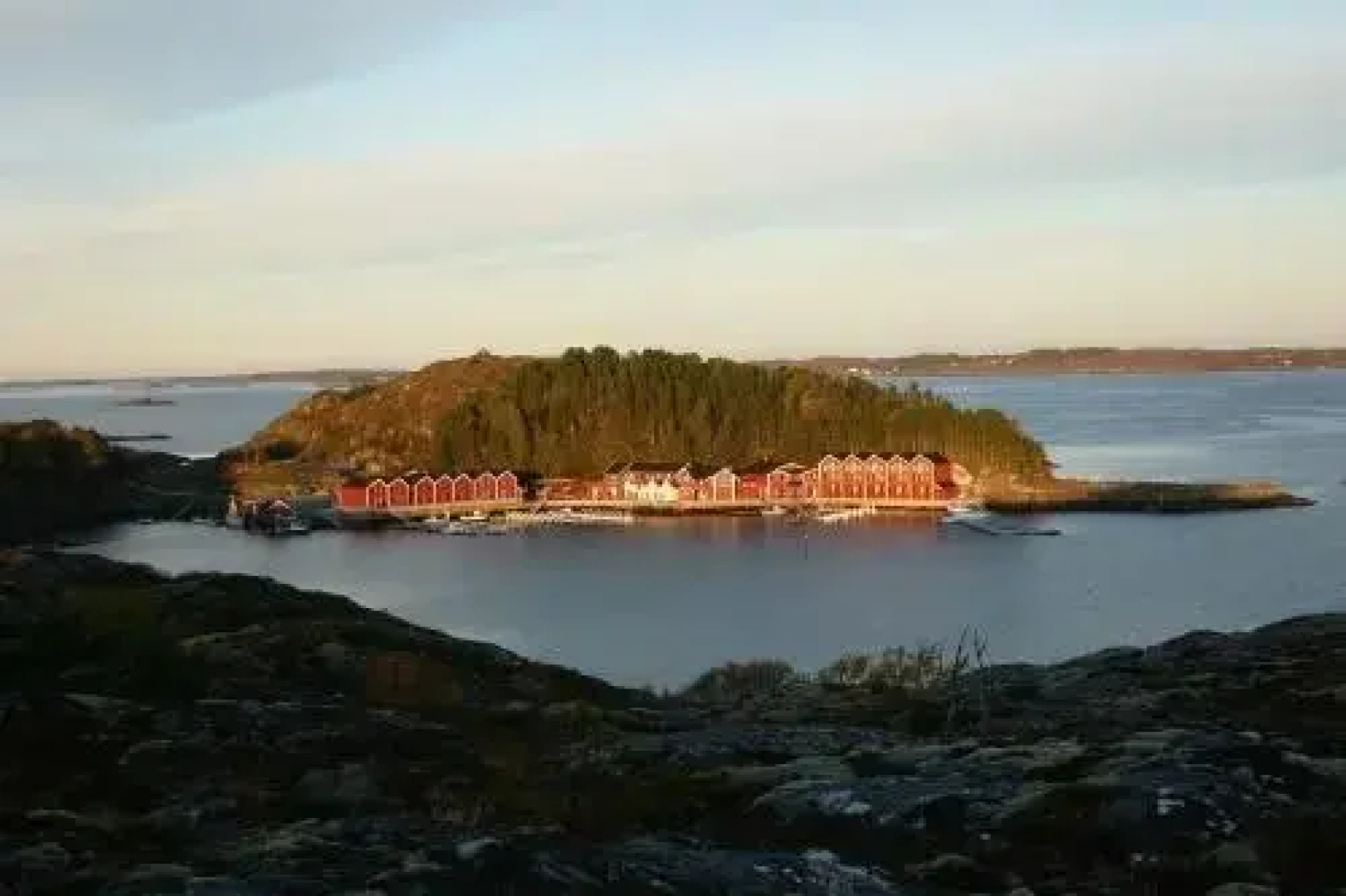 Angelamfi Hitra