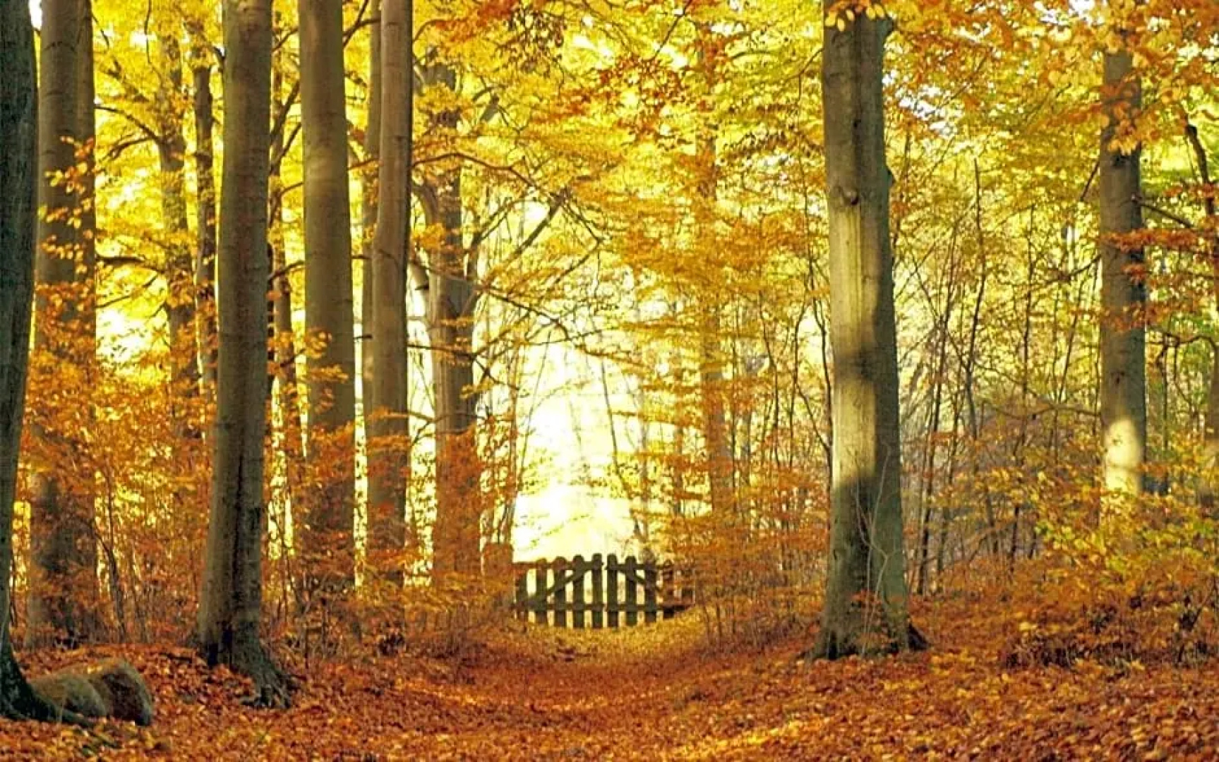 Mundi Park Łagów